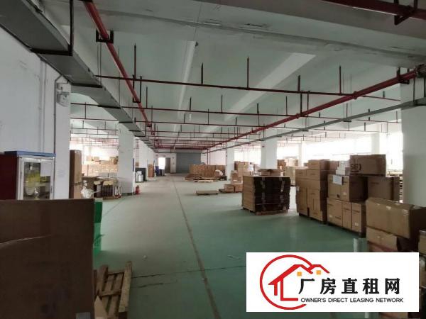  横岗高新产业园原房东2400平，房产证面积出租