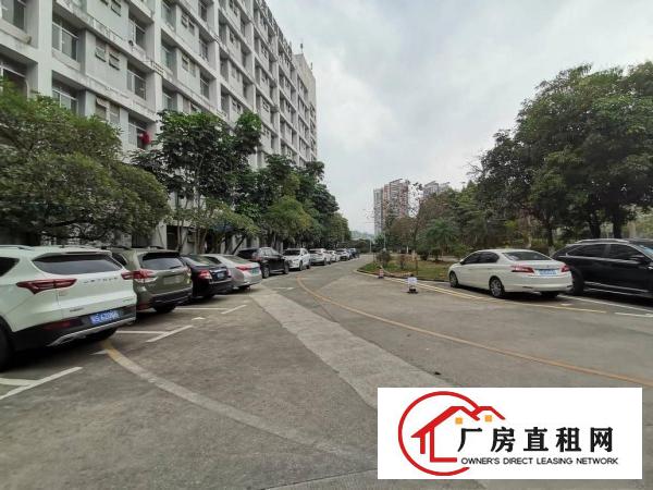  横岗高新产业园原房东2400平，房产证面积出租