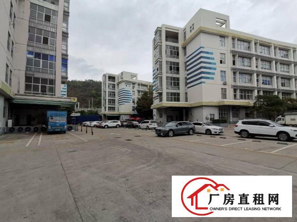  横岗高新产业园原房东2400平，房产证面积出租