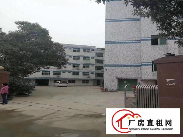  横岗四联小学附近新出一楼560平米厂房出租可分租