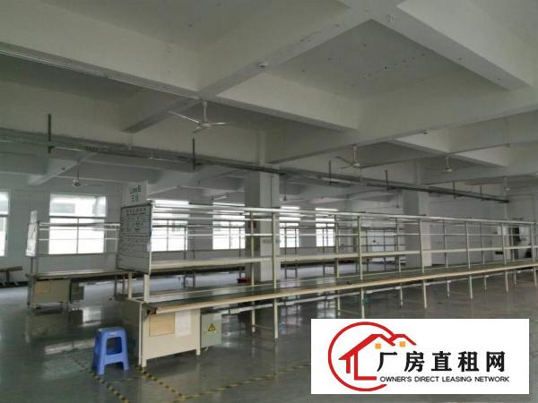  横岗荷坳双地铁口1200平豪华装修厂房出租，适合电子电商