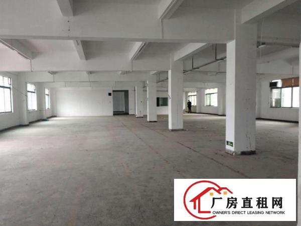  大康新出楼上1000平，价格15，大小分租，带办公室