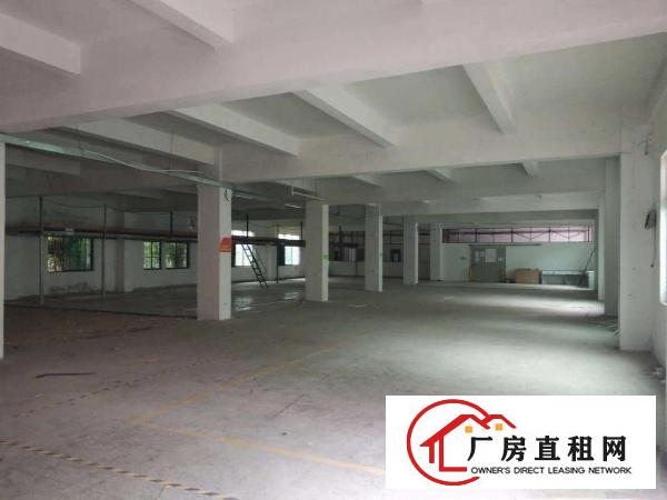  大康新出楼上1000平，价格15，大小分租，带办公室