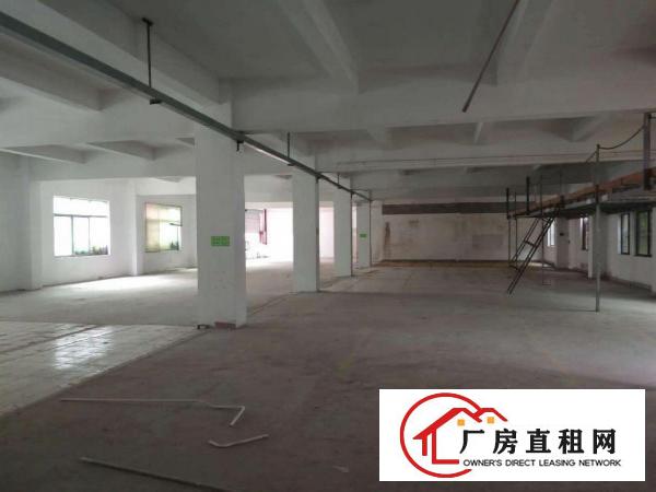  大康新出楼上1000平，价格15，大小分租，带办公室