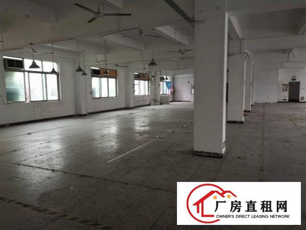  横岗荷坳新出原电子厂装修厂房1600平，低价出租