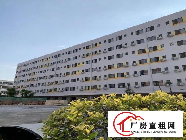  龙岗区横岗地铁口附近新出楼上800平带精装修红本厂房出租