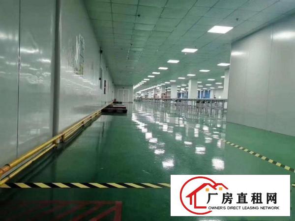  龙岗区横岗地铁口附近新出楼上800平带精装修红本厂房出租