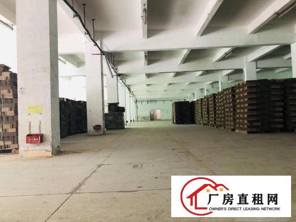  安良惠盐路边一楼420平方5.5米高一楼标准厂房出租
