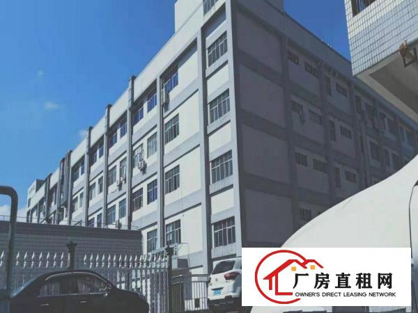  横岗银海厂房仓库出租5万平方精装修100平方分租一楼招租转租