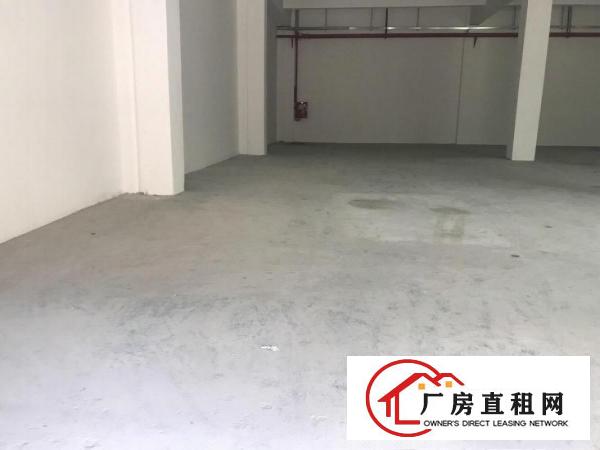  横岗大康新出一楼430平米出租