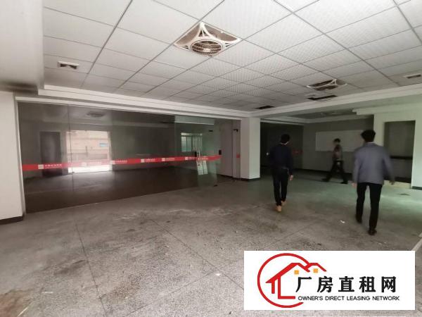  横岗六约珠宝园出租，带精装修180平到1000平，大小分租
