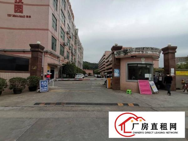  横岗六约珠宝园出租，带精装修180平到1000平，大小分租