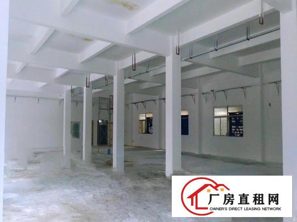  安良工业园新出一楼620平厂房仓库出租，可进大车