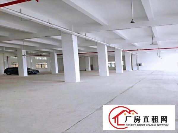  安良工业园新出一楼620平厂房仓库出租，可进大车