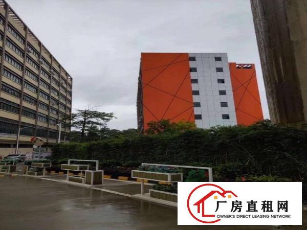  荷坳地铁口附近新出楼上200平带精装修红本厂房出租