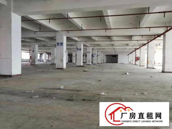  横岗六约埔厦红本厂房2200平，大小分租，带消防喷淋