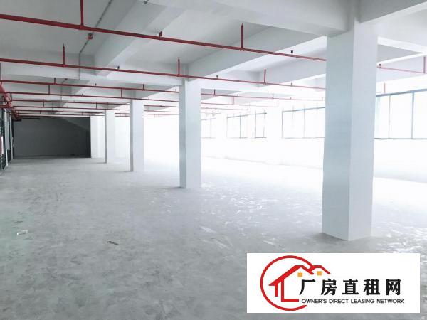  横岗大康新出一楼236平厂房出租，带办公室，空地大