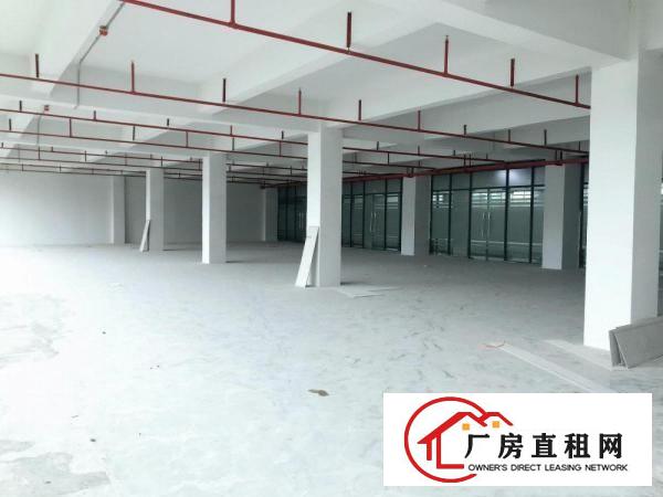  横岗安良新出楼上300平厂房出租，带电梯，有办公室