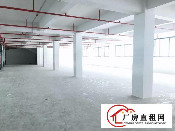  横岗安良新出楼上300平厂房出租，带电梯，有办公室