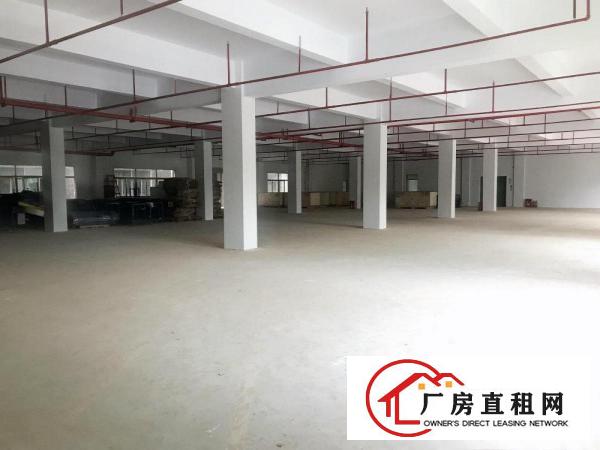  横岗安良新出楼上300平厂房出租，带电梯，有办公室
