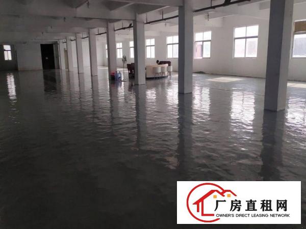 厂房出租横岗大康一楼3100平方空地超大红本厂房村委厂房
