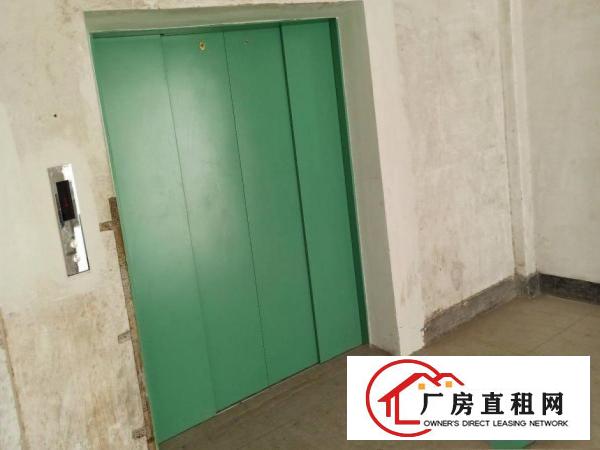  厂房出租横岗大康一楼3100平方空地超大红本厂房村委厂房