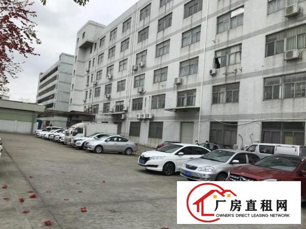  横岗塘坑地铁站六和路1号615平米现成装修电商仓库出租