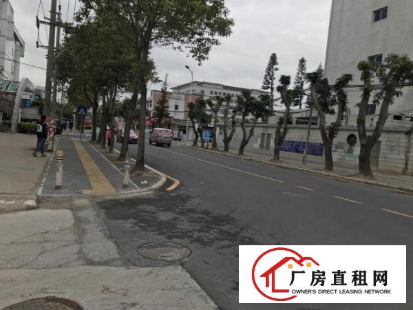  横岗塘坑地铁站六和路1号615平米现成装修电商仓库出租