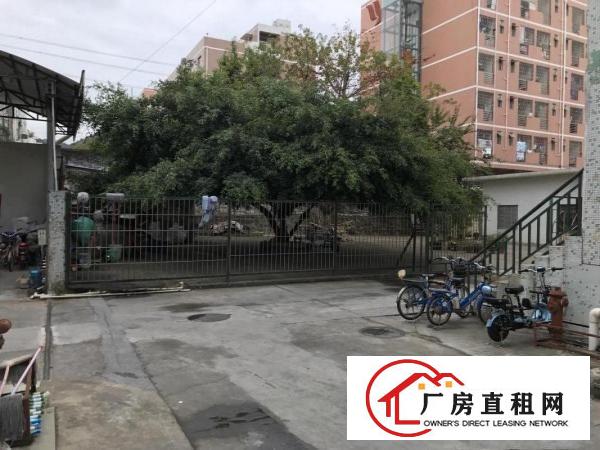  横岗塘坑地铁站六和路1号615平米现成装修电商仓库出租