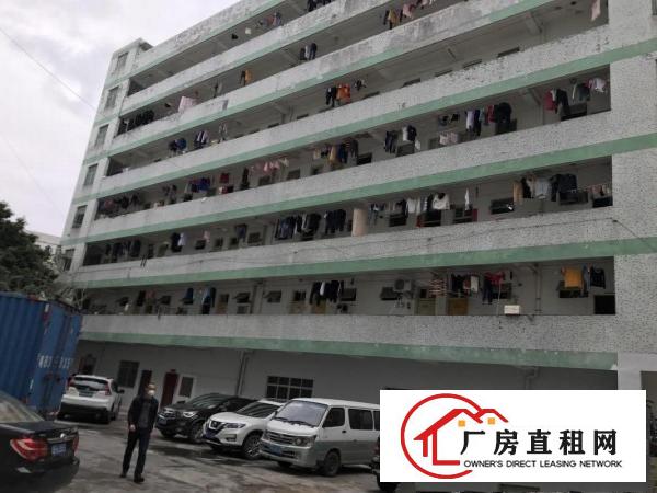  横岗塘坑地铁站六和路1号615平米现成装修电商仓库出租