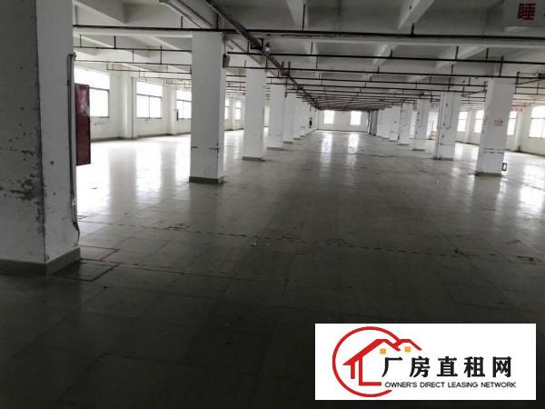  横岗塘坑地铁站六和路1号615平米现成装修电商仓库出租