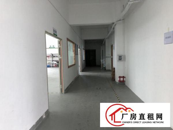  荷坳600平米带装修厂房招租