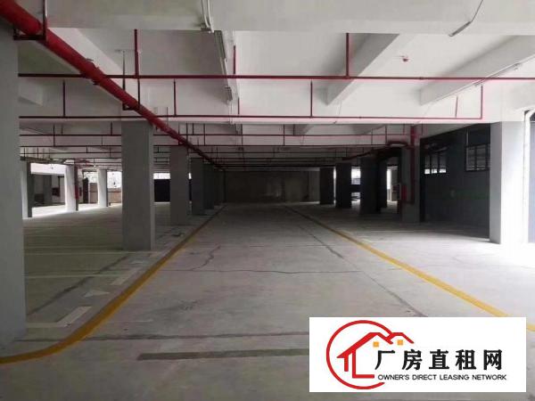  龙岗吉祥地铁口独院厂房，35000平，精装修，可办公，教育
