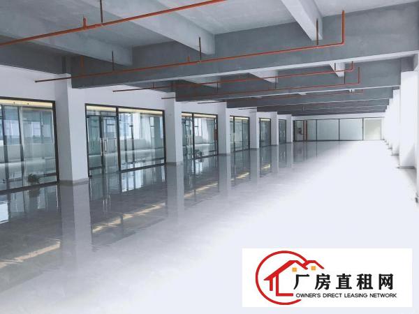  横岗安良创客园1135平楼上厂房仓库出租，大小分租，原房东！