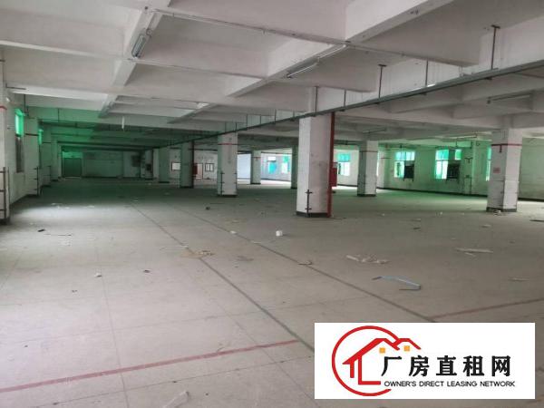  横岗六约独院厂房5000平，带珠宝装修厂房便宜出租