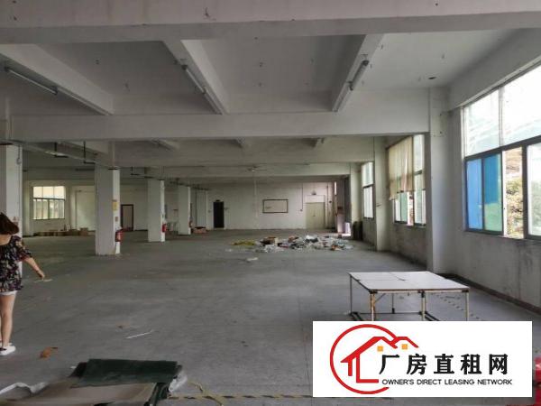  横岗六约独院厂房5000平，带珠宝装修厂房便宜出租