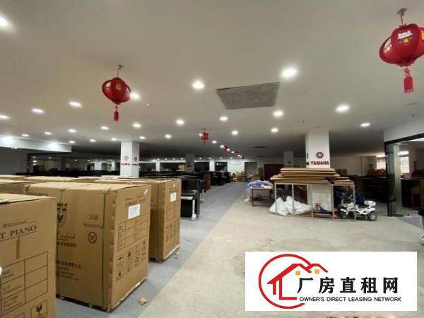  塘坑地铁口1000平方带装修办公展厅厂房出租