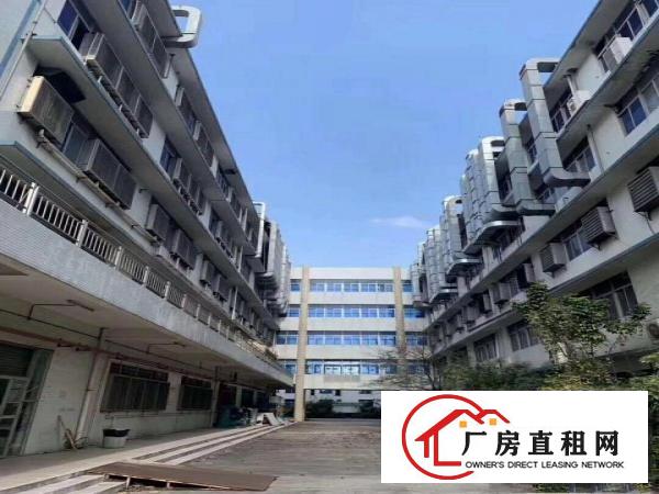 横岗六约花园式超大空地厂房10000平500平起分