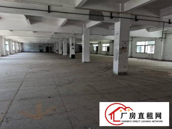  合同十年独院厂房3层（实际面积）出租12000平方