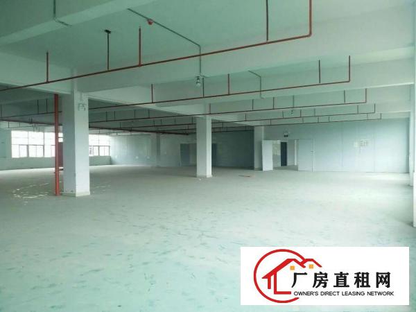  横岗全新厂房15003000平单价18元