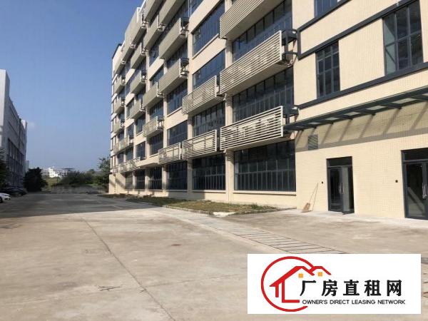 横岗塘坑地铁站两公里8层新厂房原房东招租价格实惠