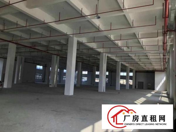  横岗塘坑地铁站两公里8层新厂房原房东招租价格实惠