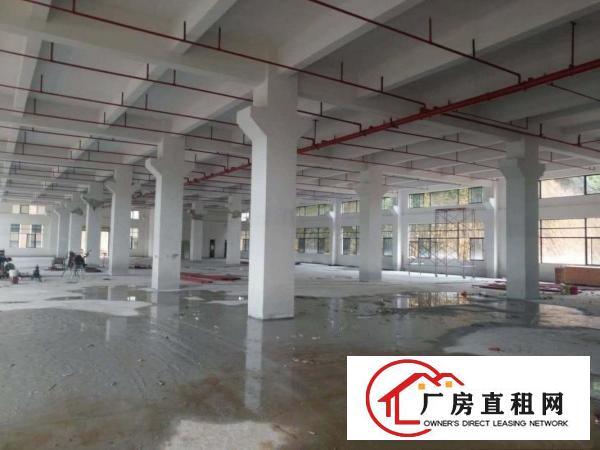  横岗塘坑地铁站两公里8层新厂房原房东招租价格实惠