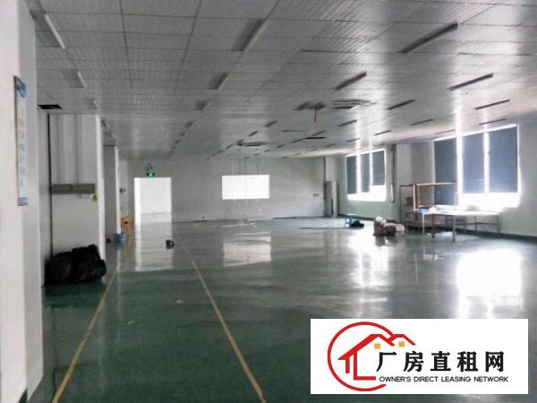  全新龙岗标准厂房出租稳定安全价格实惠大小分租