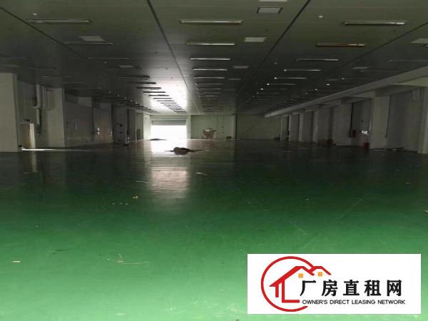  全新龙岗标准厂房出租稳定安全价格实惠大小分租