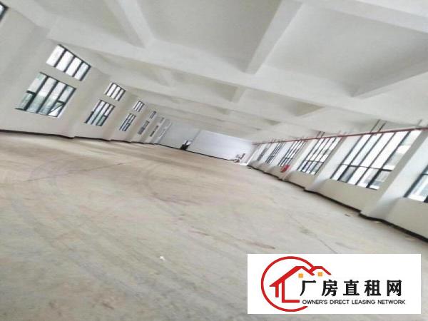  全新龙岗标准厂房出租稳定安全价格实惠大小分租