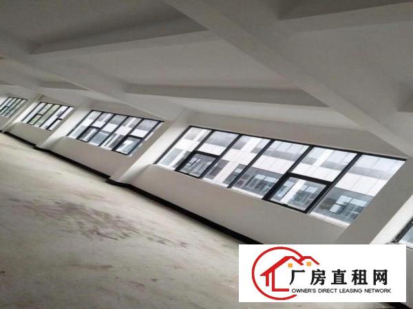  全新龙岗标准厂房出租稳定安全价格实惠大小分租