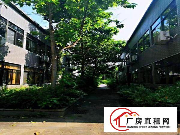  横岗敬老院，月子中心，占地28000平，建筑10000平