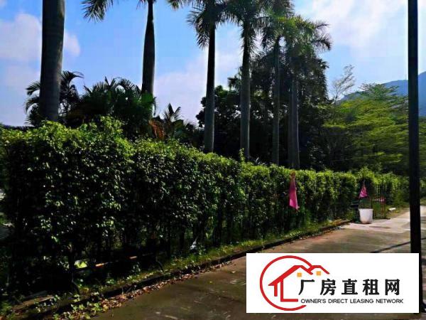  横岗敬老院，月子中心，占地28000平，建筑10000平