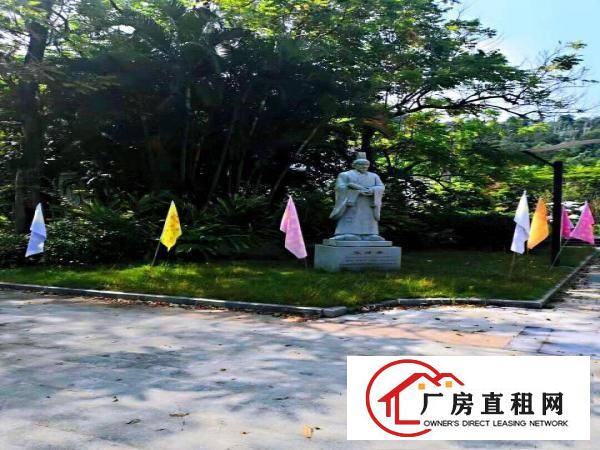  横岗敬老院，月子中心，占地28000平，建筑10000平